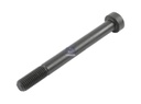 Boulon de ressort RENAULT - DT SPARE PARTS