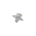 Bouchon IVECO - DT SPARE PARTS