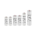 Sachet de 6 fusibles avec voyant - SODISE