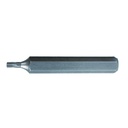 Embout TORX 10mm 75mm - FORCH