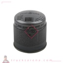 Cartouche de gaz Butane GS 190g - FORCH