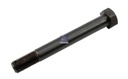 Boulon de ressort SCANIA - DT SPARE PARTS