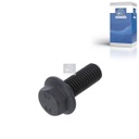 Vis de bride - DT SPARE PARTS