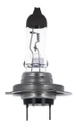 Ampoule - DT SPARE PARTS
