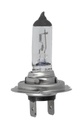 Ampoule - DT SPARE PARTS