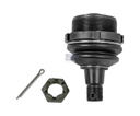 Rotule VOLVO - DT SPARE PARTS