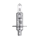 Ampoule de jour halogène H1, 24V 70W - OSRAM