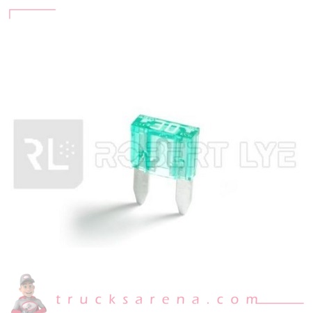 [ROB 050030] Fusible 30A - ROBERT LYE