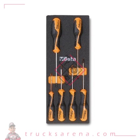 [BET 024500204] Composition tournevis Torx plateau mousse 6 pièces M204 - BETA TOOLS