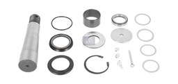 [DTS 2.95003] Kit pivot de fusée de roue - DT SPARE PARTS