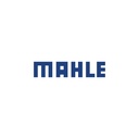 MAHLE LOGO