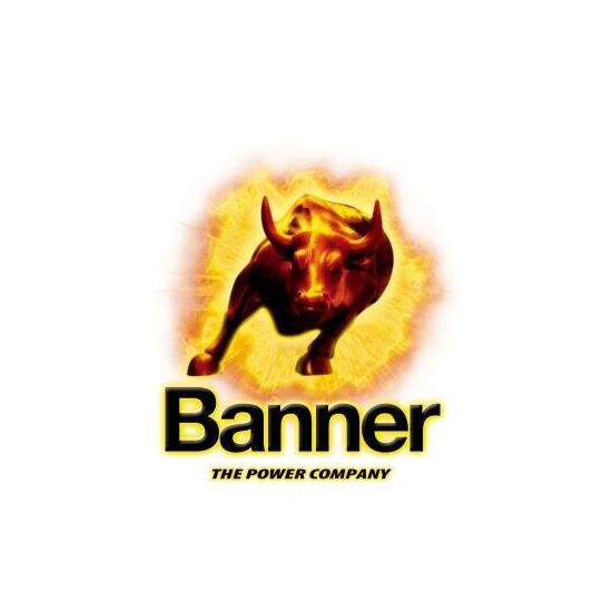 BANNER LOGO