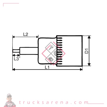 Douille 1/4 TX 20 L32mm - FORCH