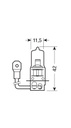 24V Ampoule halogène - H3 - 70W - PK22s - 1 pcs  - Boîte