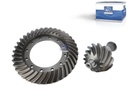 Couple conique SCANIA - DT SPARE PARTS