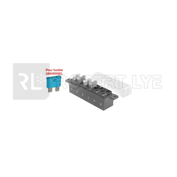 Universal box for 4 fuses - ROBERT LYE