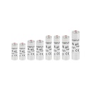 Bag of 8 fuses with indicator light - SODISE