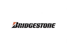 Pneu hiver Bridgestone BLIZZAK DM-V3 - BRIDGESTONE