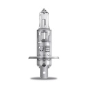 Ampoule de jour halogène H1, 12V 68W - OSRAM