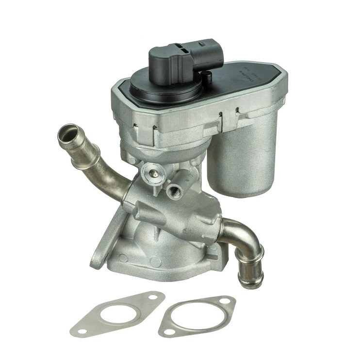 Vanne EGR EG10436-12B1 - DELPHI