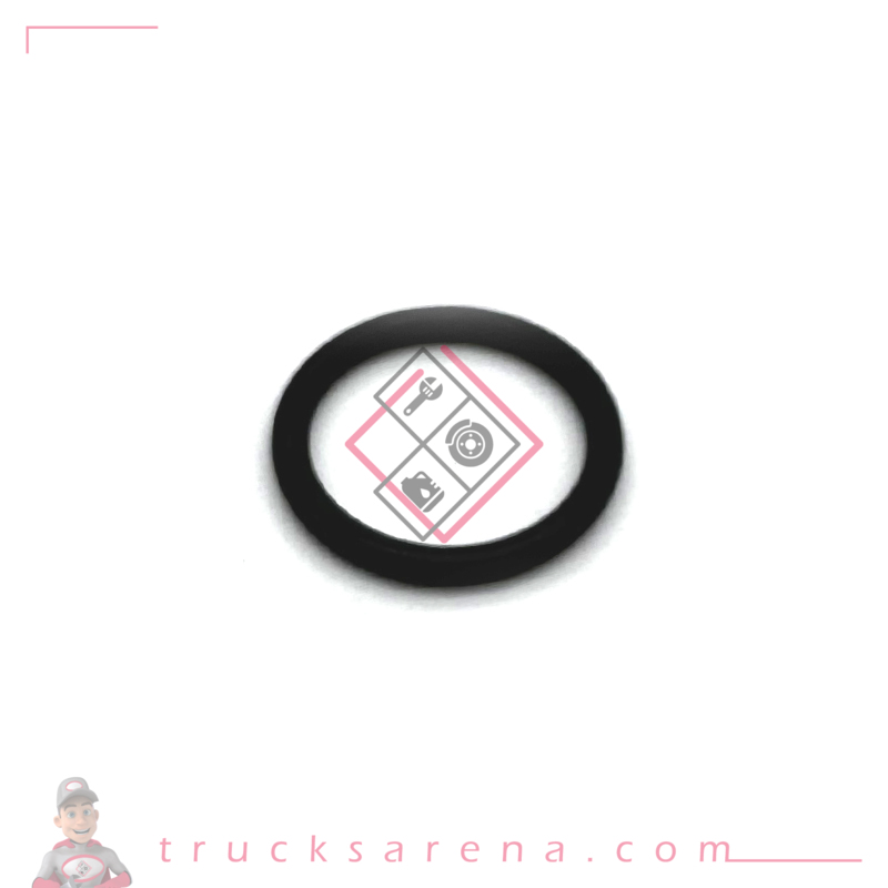 Gasket diameter 17, drain plug - ISUZU PARTS
