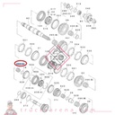 Needle bearing, rear main shaft - ISUZU PARTS