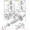 Coussinet de bielle, standard - ISUZU PARTS