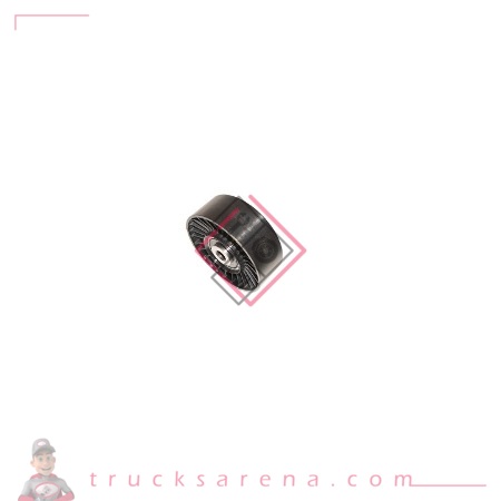 Intermediate pulley, fan - ISUZU PARTS