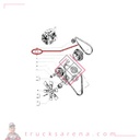 Courroie compresseur A31 lot de 2 - AVIA