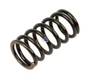 Ressort de soupape SCANIA - DT SPARE PARTS