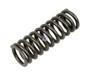 Ressort de soupape SCANIA - DT SPARE PARTS