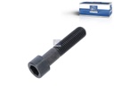 Vis SCANIA - DT SPARE PARTS