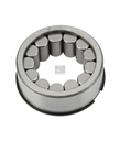 Roulement à rouleaux cylindre SCANIA - DT SPARE PARTS