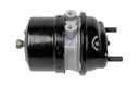 Cylindre de frein à accumulateur SCANIA - DT SPARE PARTS
