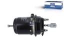 Cylindre de frein à accumulateur SCANIA - DT SPARE PARTS