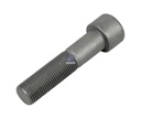 Vis SCANIA - DT SPARE PARTS