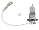 Ampoule - DT SPARE PARTS