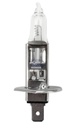 Ampoule - DT SPARE PARTS