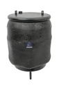 Coussin d'air SCANIA - DT SPARE PARTS