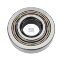 Roulement à billes SCANIA - DT SPARE PARTS