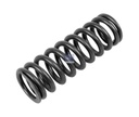 Ressort de soupape - DT SPARE PARTS