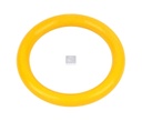 Joint torique VOLVO - DT SPARE PARTS