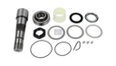 Kit pivot de fusée de roue - DT SPARE PARTS