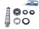 Kit pivot de fusée de roue - DT SPARE PARTS