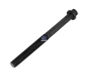 Vis de culasse MAN - DT SPARE PARTS