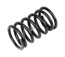 Ressort de soupape MAN - DT SPARE PARTS