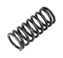 Ressort de soupape MAN - DT SPARE PARTS