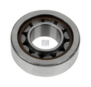 Roulement à rouleaux cylindre MAN - DT SPARE PARTS