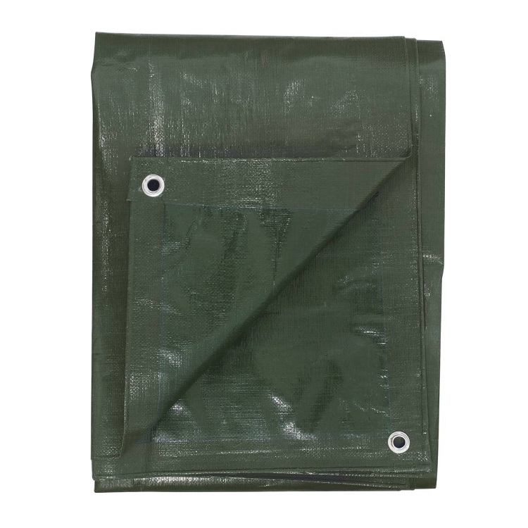 Protective tarpaulin, 6 x 10 m - SODISE