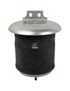 Coussin d'air IVECO - DT SPARE PARTS